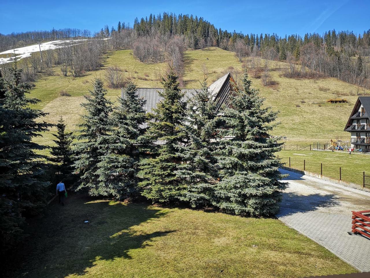 U Kominka Zakopane Exterior foto